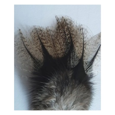 Plumes Coq de León DOHIKU CDL – 5 pièces-