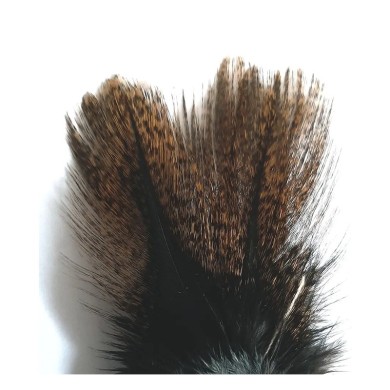 Plumes Coq de León DOHIKU CDL – 5 pièces-