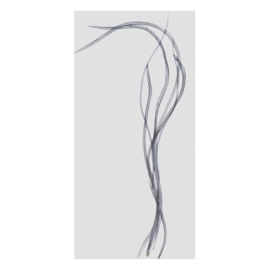 Plumes de coq génétique DOHIKU CMG – 5 pièces-
