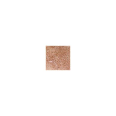 Crevette