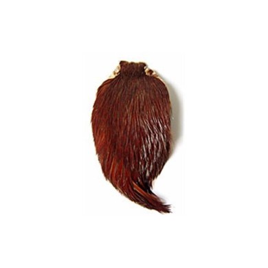 Scalp de coq DOHIKU SKK-
