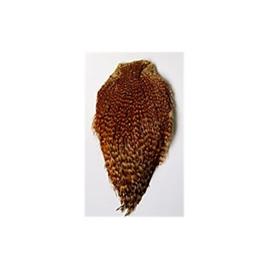 Scalp de coq DOHIKU SKK-