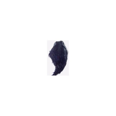 Negro