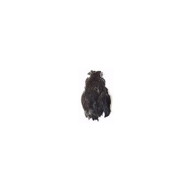 Scalp de poule DOHIKU SKS-