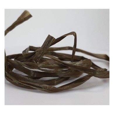 Brun olive