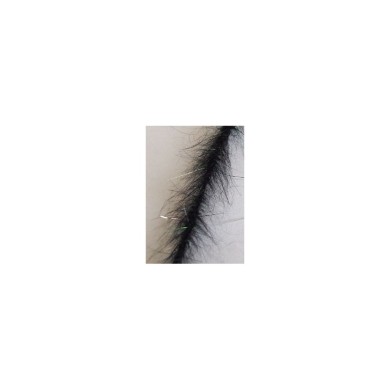 Noir / Paon