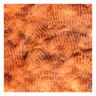 Hends Grizzly Marabou - Plumes barrées-