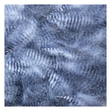 Hends Grizzly Marabou - Plumes barrées-