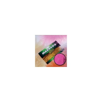 Pourpre-Rose M13
