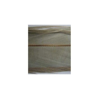 Gris PT15