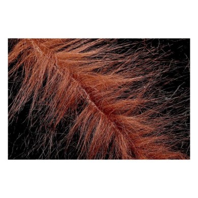 Brun Foncé Noir LCH933