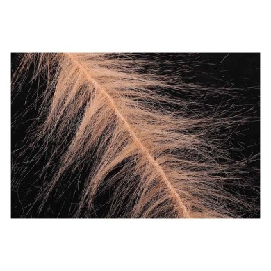 Brun clair : Noir LCH932