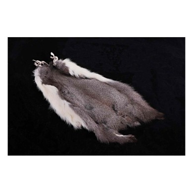 Hends Blue Grey Squirrel Skin - Peau d’écureuil-