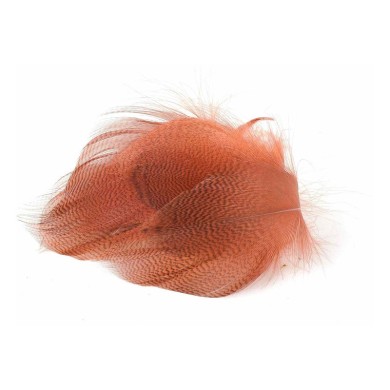 Rouille Grand MDL35