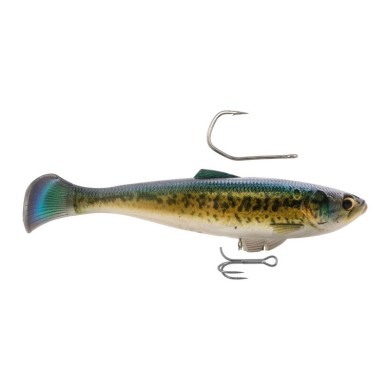 Babybass