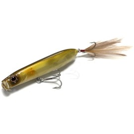 Stickbaits / Poppers