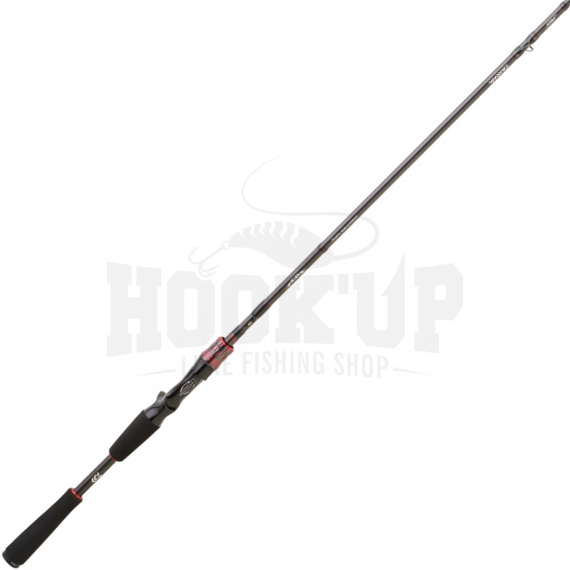 Acheter Canne Casting Action Fast Daiwa Steez AGS Casting 2022