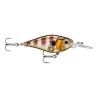 Poisson nageur Rapala X-Light Shad