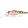 Lucky Craft Bevy Shad 60 SP