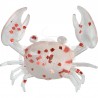Nikko Super Little Crab