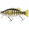 Biwaa Swimbass 6"