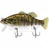 Biwaa Swimbass 6"