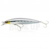 Daiwa Shoreline Shiner Z Vertice 97 F