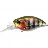 Duo Realis Crank 48 MR Kabuki Bottom Rush