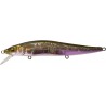 Megabass Vision 110 FW