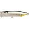 Tackle House Feed Popper 70