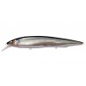 Megabass Kanata SW - 160mm - 31gr