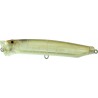 Tackle House Feed Popper 100