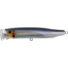 Tackle House Feed Popper 135