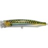 Tackle House Feed Popper 150