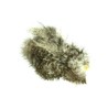 Whiting Farms Bird Fur