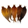 Whiting Farms Heritage Rooster Hackle Cape