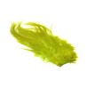 Whiting Farms Bird Fur