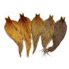 Whiting Farms Heritage Rooster Hackle Cape
