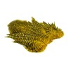 Whiting Farms Rooster Soft Hackle Chickabou