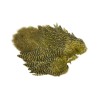 Whiting Farms Rooster Soft Hackle Chickabou