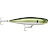Rapala Precision Xtreme Pencil 107 SW - 10.7cm - 21g - Floating