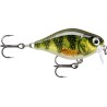 Rapala X-Light Crank Shallow Runner - 3.5cm - 4g - Floating