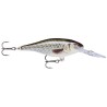 Rapala Shad Rap - 7cm - 8g - Floating