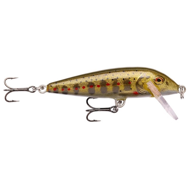 RAPALA　COUNTDOWN Rapala Countdown – Leurre Polyvalent pour Pêche en Profondeur