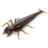 Fishup Diving Bug 2" - 5cm - 8pcs/pk