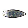 Forest Miu Native Series Abalone - 3.1cm