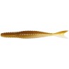Galapagos Zegrashad 5.8" - 14cm - 6pcs/pk