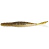 Galapagos Zegrashad 5.8" - 14cm - 6pcs/pk