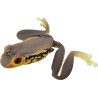 Kahara Diving Frog