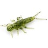 FishUp Stonefly 0.75" - 1.9cm - 12pcs/pk
